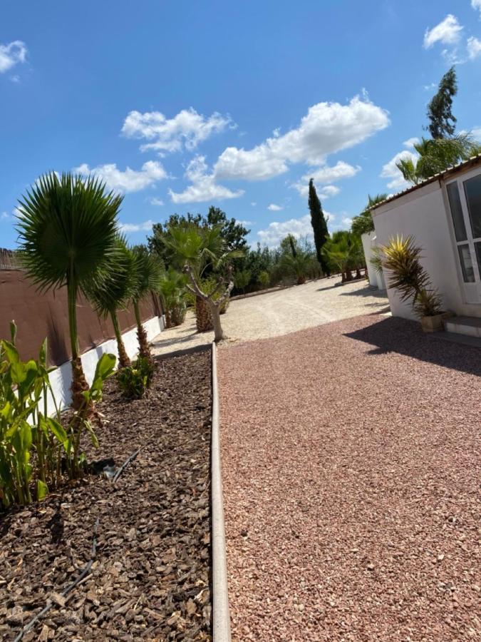 Villa Arizona Catral المظهر الخارجي الصورة